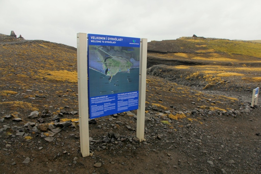 Dyrhólaey IJsland kustlijn