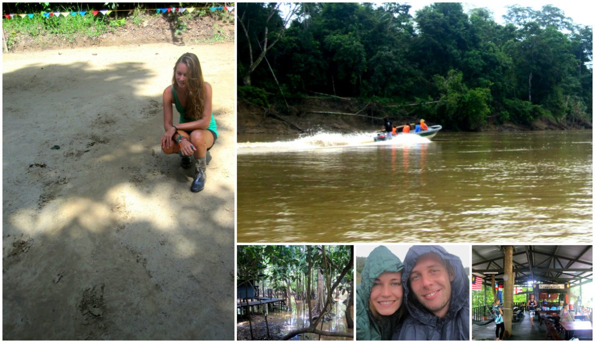 Jungle Camp bij Sungai Kinabatangan (Borneo)