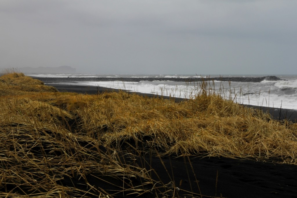 Stranden van Vík IJsland