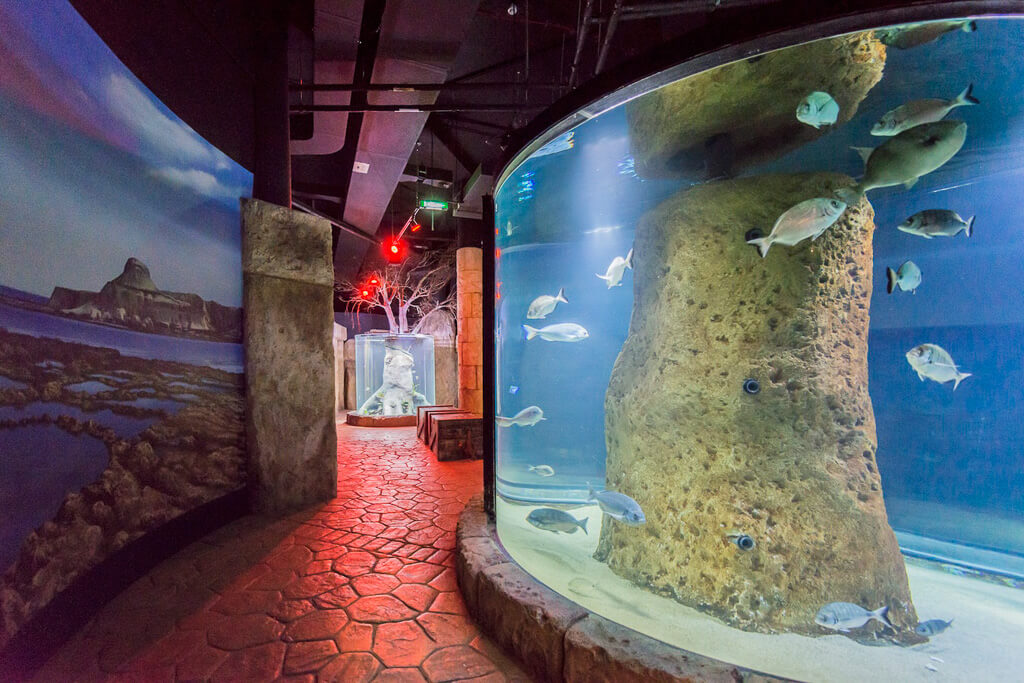 malta aquarium