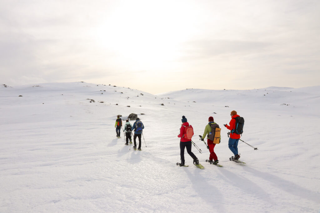 winter noorwegen filefjell